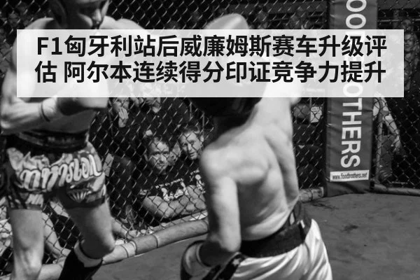 F1匈牙利站后威廉姆斯赛车升级评估 阿尔本连续得分印证竞争力提升